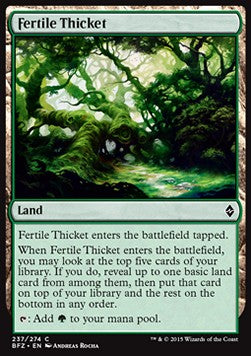 Fertile Thicket⁣ - Battle for Zendikar⁣ (Common)⁣ [237]