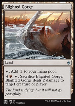 Blighted Gorge⁣ - Battle for Zendikar⁣ (Uncommon)⁣ [231]