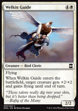 Welkin Guide⁣ - Eternal Masters⁣ (Common)⁣ [36]