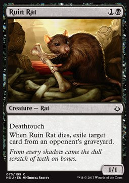 Ruin Rat⁣ - Hour of Devastation⁣ (Common)⁣ [75]