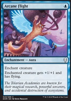 Arcane Flight⁣ - Dominaria⁣ (Common)⁣ [43]