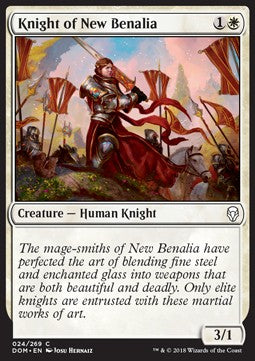 Knight of New Benalia⁣ - Dominaria⁣ (Common)⁣ [24]