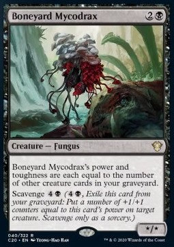 Boneyard Mycodrax⁣ - Commander: Ikoria⁣ (Rare)⁣ [40]