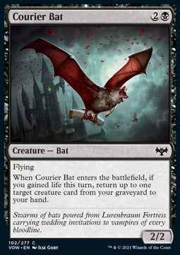 Courier Bat⁣ - Innistrad: Crimson Vow⁣ (Common)⁣ [102]