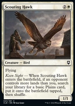 Scouting Hawk⁣ - Commander Legends: Battle for Baldur's Gate⁣ (Common)⁣ [41]