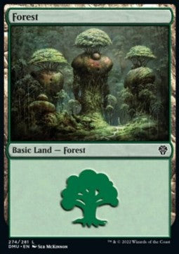 Forest (V.1)⁣ - Dominaria United⁣ (Land)⁣ [274]